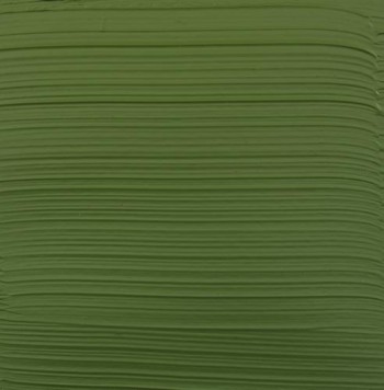 AAC EXP. VERDE OX.CROMO
