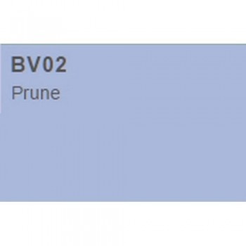 COPIC CIAO BV02 PRUNE