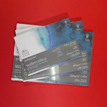 W&N ACUA. PRO. BLOC 20H 300g 100% ALG.