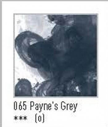 N.065 FW TINTA ACRÍLICA PAYNES GREY