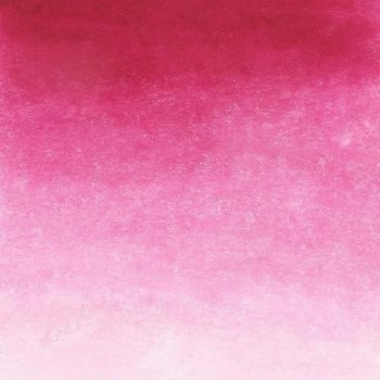 NB.324 Magenta