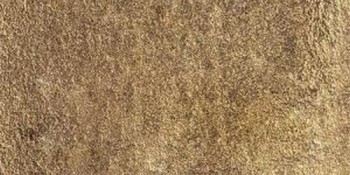 NB.981 Oro Antiguo