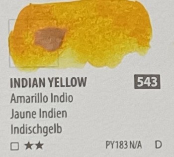 Acua. PWC ShinHan 15ml INDIAN YELLOW nº 543  serie C