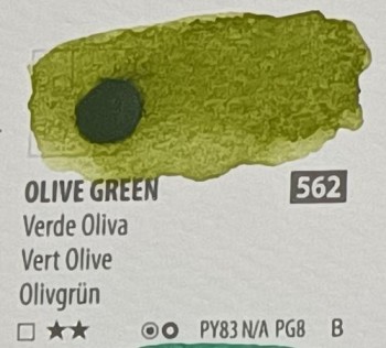 Acua. PWC ShinHan 15ml OLIVE GREEN nº 562 serie B