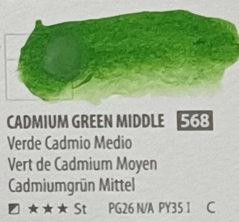 Acua. PWC ShinHan 15ml CADMIUM GREEN MIDDLE nº 568 serie C