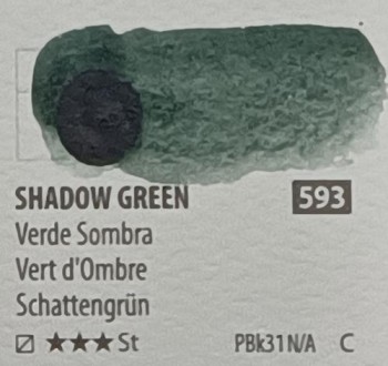 Acua. PWC ShinHan 15ml SHADOW GREEN nº 593 serie C