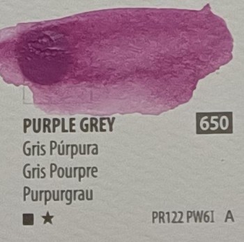 Acua. PWC ShinHan 15ml PURPLE GREY nº 650 serie A