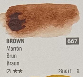 Acua. PWC ShinHan 15ml BROWN  nº 667 serie B