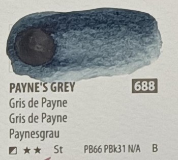 Acua. PWC ShinHan 15ml PAYNE'S GREY nº 688 serie B