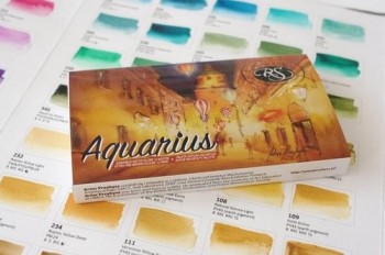 CAJA AQUARIUS x12 PALETA ATUR PRZYBYSZ