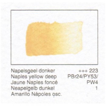 ACUA. REMBRANDT - AMAR.NAPOL.OSC.