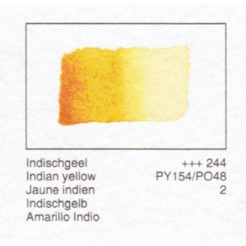 ACUA. REMBRANDT - AMARILLO INDIO