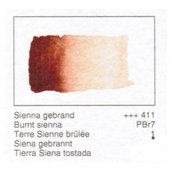 ACUA. REMBRANDT - T.SIENA TOSTADA