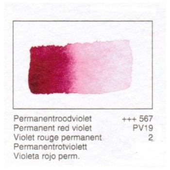 ACUA. REMBRANDT - VIOLETA ROJO PERM.