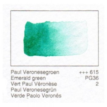 ACUA. REMBRANDT - VERDE P.VERONES