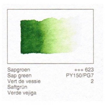 ACUA. REMBRANDT - VERDE VEJIGA