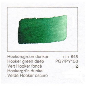 ACUA. REMBRANDT - VERDE HOOK.OSC.