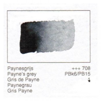 ACUA. REMBRANDT - GRIS PAYNE