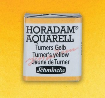N.219 Amarillo de Turner - ACUA. S. HORADAM S1