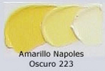 N.223 OLEO REMBRANDT AMAR.NAPOLES OSC.