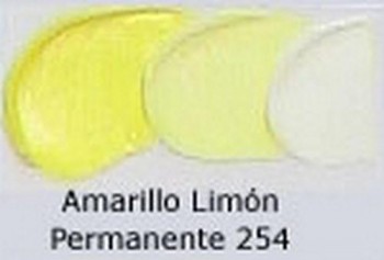 N.254 OLEO REMBRANDT AMAR.LIMON PERM.