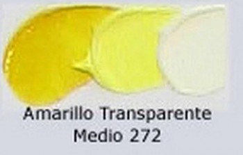 N.272 OLEO REMBRANDT AMAR.TRANSP.MEDIO