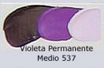 N.537 OLEO REMBRANDT VIOLETA PERM.MED.