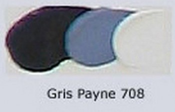 N.708 OLEO REMBRANDT GRIS PAYNE