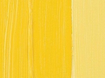 N.269 OLEO V.GOGH AMARILLO AZO MED