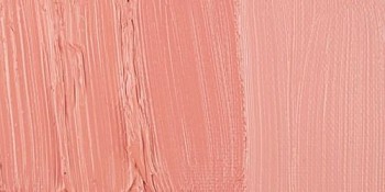 N.257 W&N OLEO WINTON  TINTA CARNE