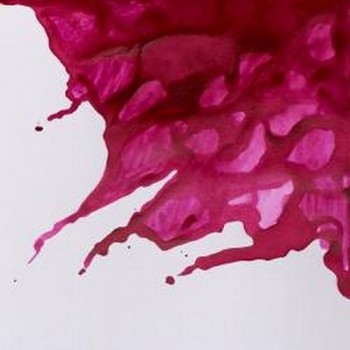 N.542 W&N TINTA 14ml PÚRPURA